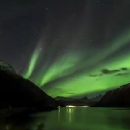 Koselig Leilighet I Narvik Sentrum 5 Soveplasser Gratis Parkering Og Gratis Internett المظهر الخارجي الصورة