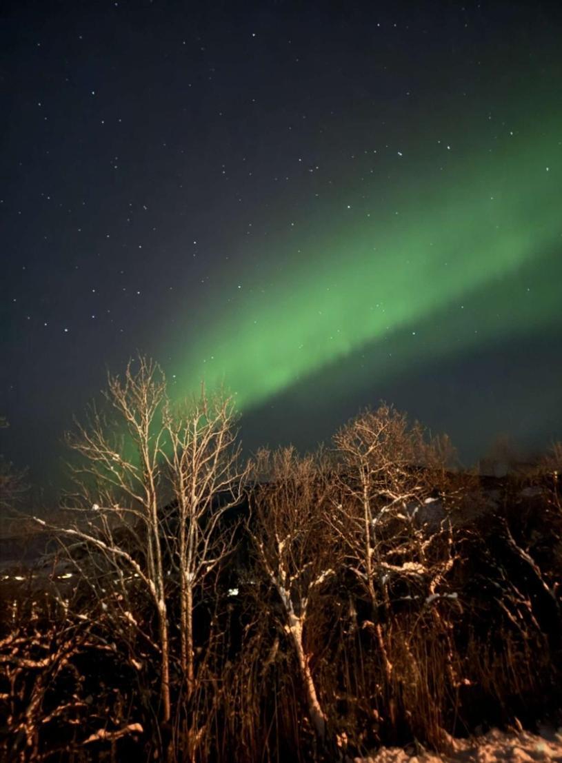 Koselig Leilighet I Narvik Sentrum 5 Soveplasser Gratis Parkering Og Gratis Internett المظهر الخارجي الصورة