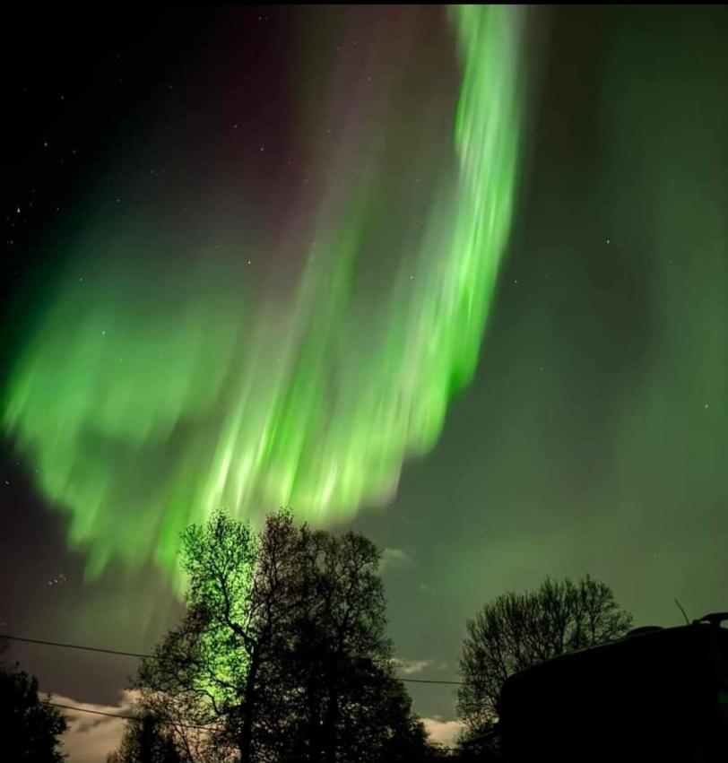 Koselig Leilighet I Narvik Sentrum 5 Soveplasser Gratis Parkering Og Gratis Internett المظهر الخارجي الصورة