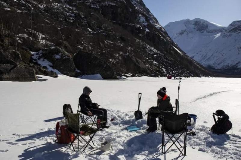 Koselig Leilighet I Narvik Sentrum 5 Soveplasser Gratis Parkering Og Gratis Internett المظهر الخارجي الصورة