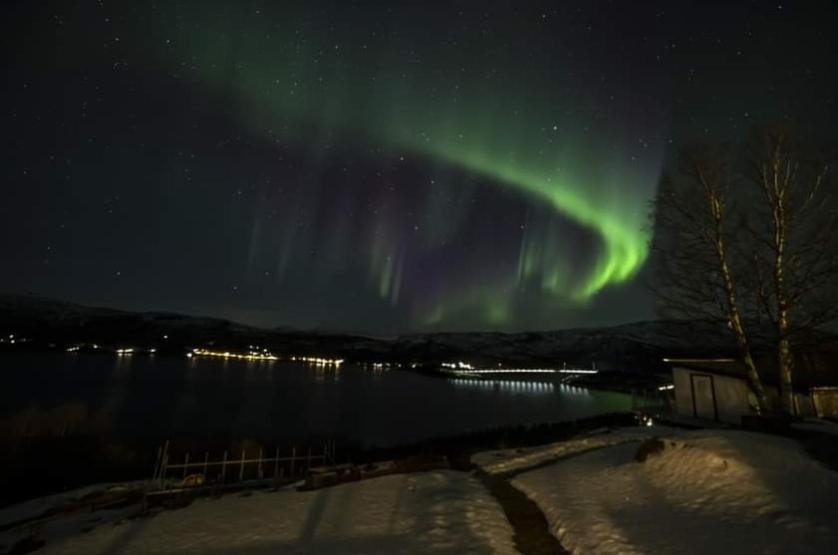 Koselig Leilighet I Narvik Sentrum 5 Soveplasser Gratis Parkering Og Gratis Internett المظهر الخارجي الصورة